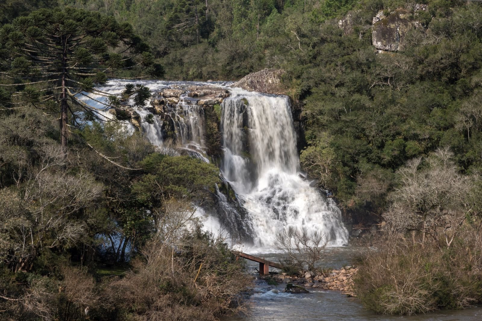 Cachoeira na Chapada dos Veadeiros em meio à vegetação de cerrado