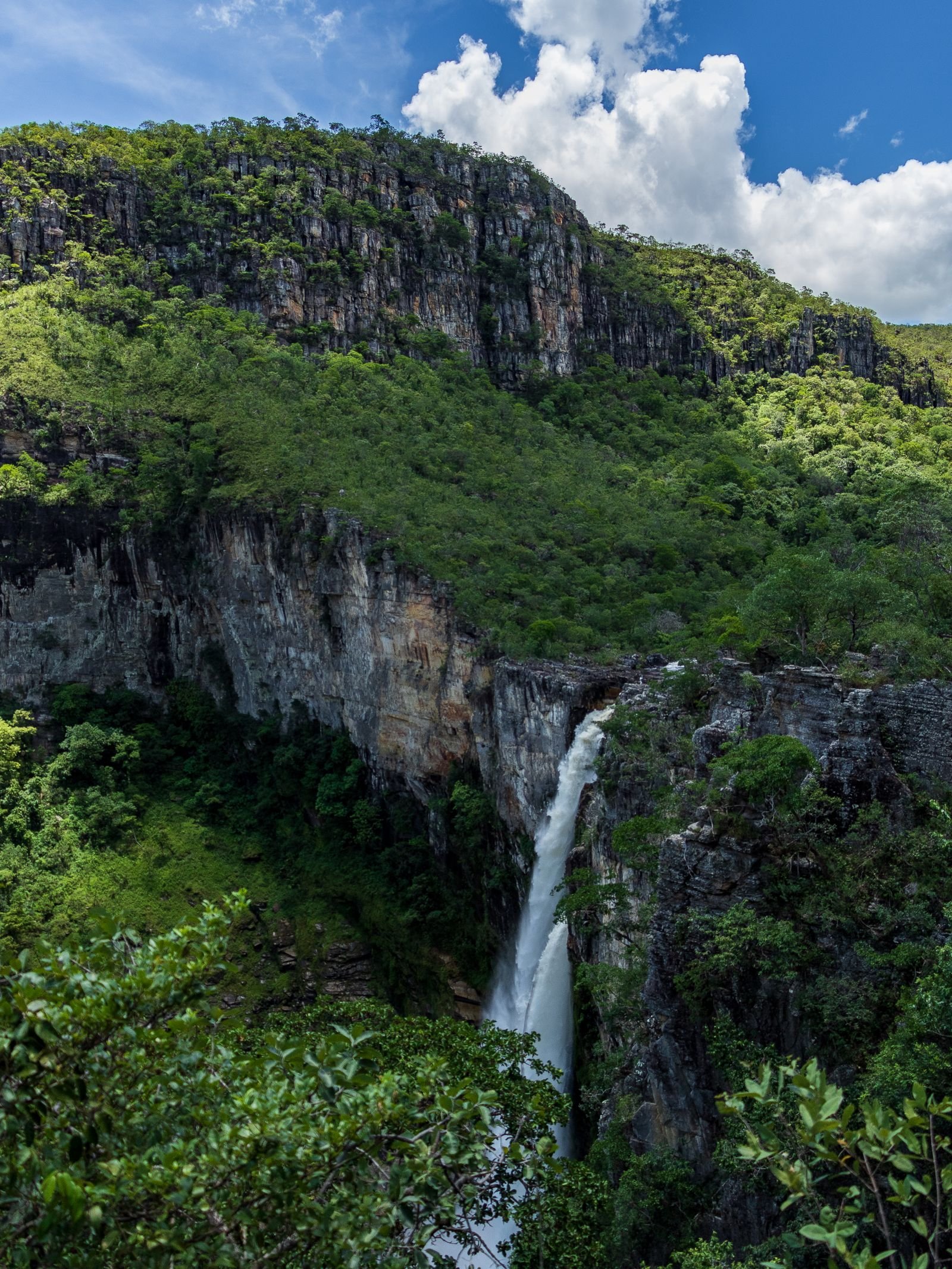 Roteiro pela Chapada dos Veadeiros: paisagem de cânions e vegetação de cerrado