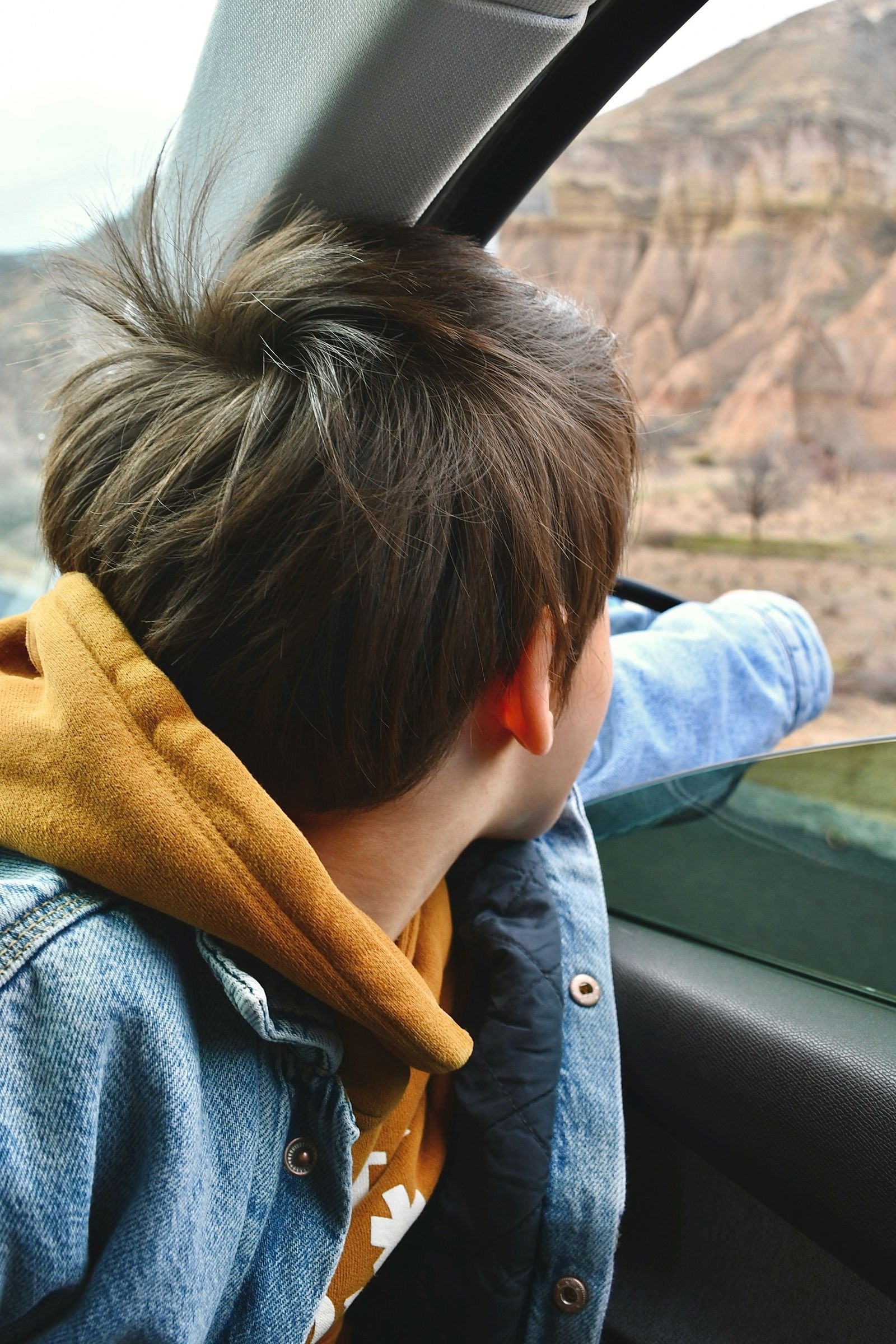 Menino observando uma paisagem de terreno acidentado pela janela do carro durante uma viagem