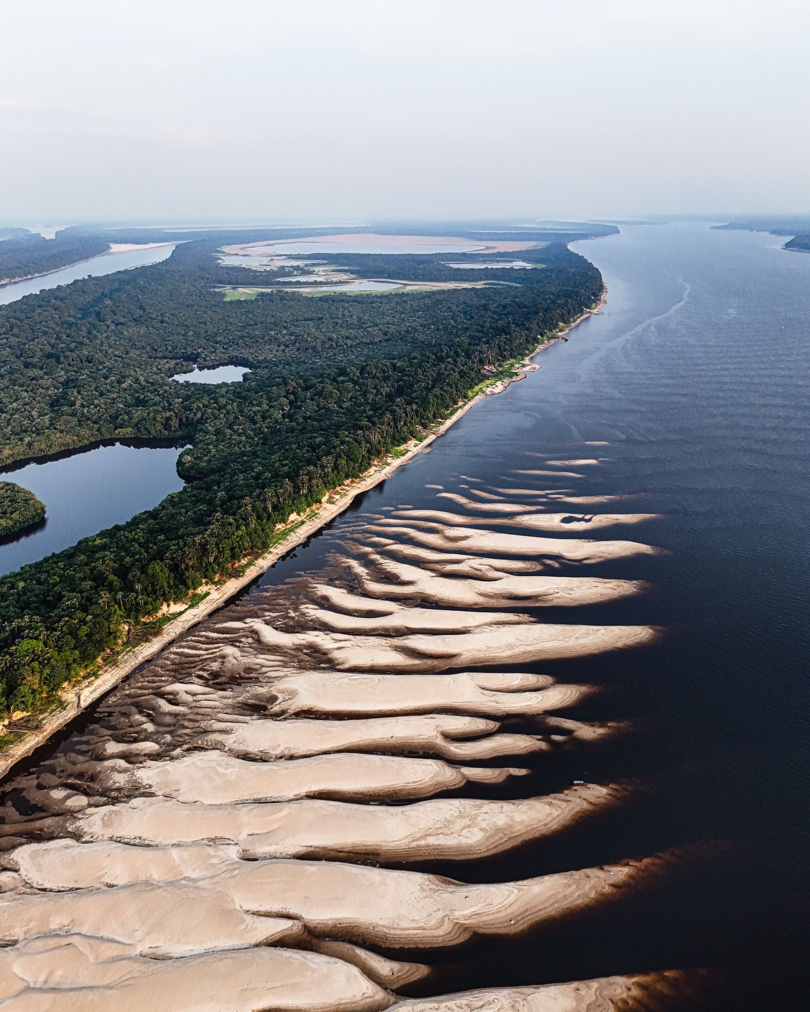 Roteiros de road trip por região: Rio Amazonas visto do alto na região Norte