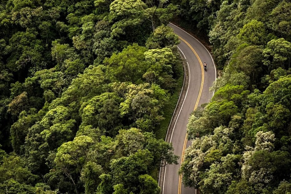 Estrada da Graciosa de carro, estrada sinuosa em meio à Mata Atlântica no Paraná