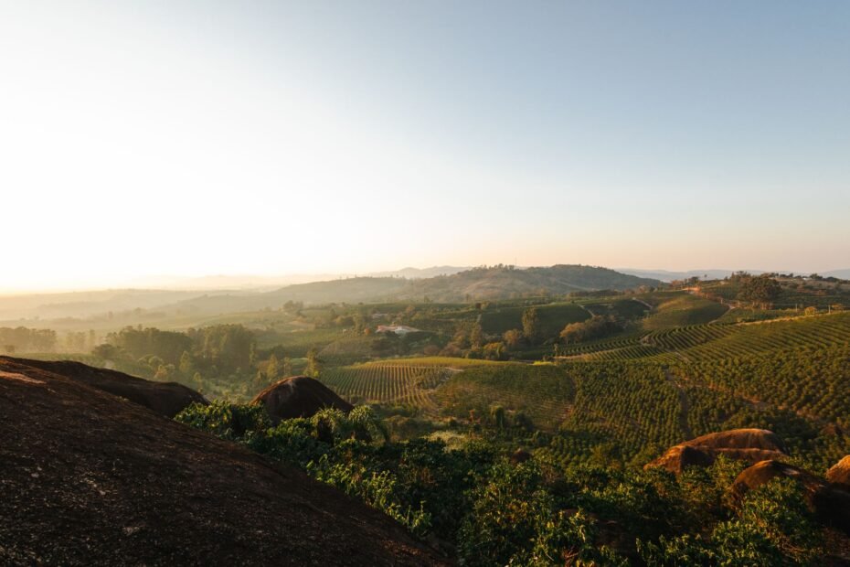 Vale do Café de carro, paisagem de plantação de café nas montanhas do Rio de Janeiro