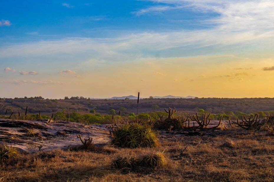 Vale do Catimbau de carro, paisagem de caatinga em Pernambuco