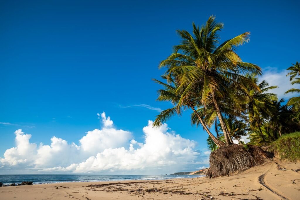 Litoral Sul da Paraíba de Carro: vista em Coqueirinho